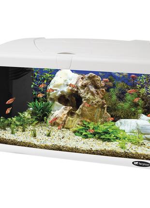 Стеклянный аквариум со светодиодной лампой на 60 литров Ferpla...
