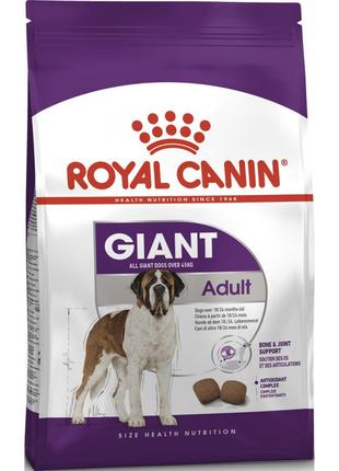 Royal Canin Giant Adult (Роял Канін Джаїнт Едалт) сухий корм д...