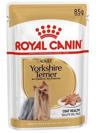 Royal Canin Yorkshire Terrier (Роял Канін Йоркшир Тер'єр) воло...