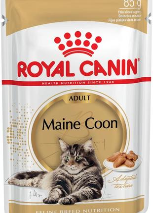 Royal Canin Maine Coon (Роял Канин Мейн Кун Эдалт) влажный кор...