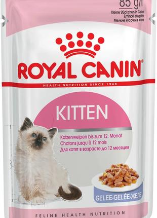 Royal Canin Kitten Jelly (Роял Канин Киттен кусочки в желе) вл...