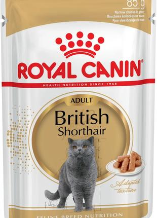 Royal Canin British Shorthair (Роял Канін Брітіш Шортхейр) вол...