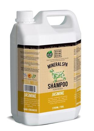 Reliq Mineral Spa Jasmine Shampoo (Релик Минерал Спа Жасмин) ш...