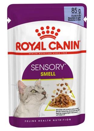 Royal Canin Sensory Smell Jelly (Роял Канін Сенсорі в желе) во...