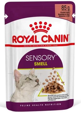 Royal Canin Sensory Smell Gravy (Роял Канін Сенсорі шматочки) ...