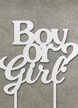 Топпер "Boy or Girl?" з ДВП (↔ 12 см) Код/Артикул 80 Т0185б