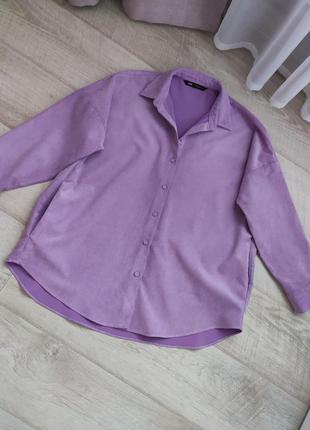 Шикарная велюровая  рубашка от zara в лиловом цвете раз. s-m