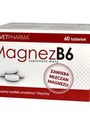 Магне В6.Магній Магнезія лактат магнію магнію магнез. вітамін ...