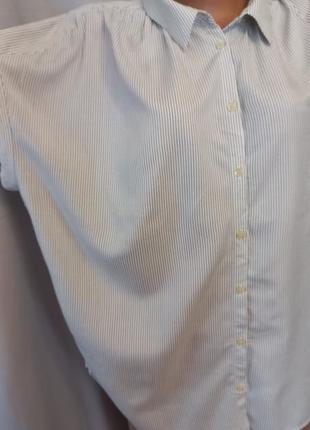 Стильная рубашка, блузка в полоску  №1bp