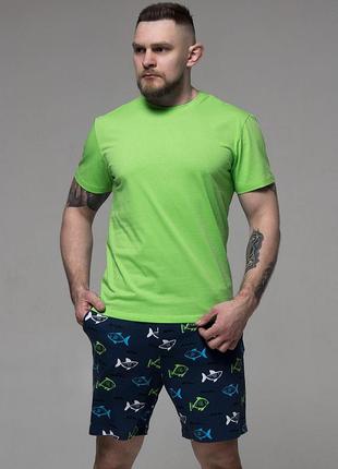 Чоловіча бавовняна піжама зеленого кольору футболка та шорти т...