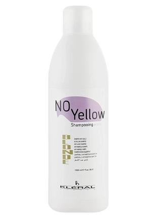 Шампунь для седых и осветленных волос KLERAL System Shampoo AN...