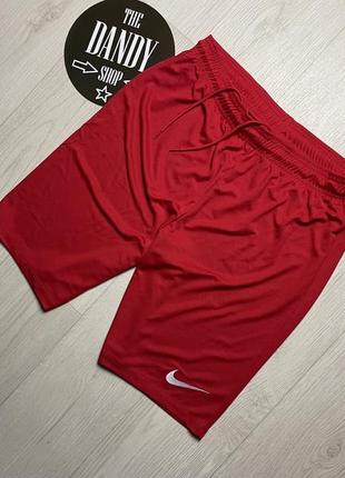 Мужские шорты nike dri-fit, размер l