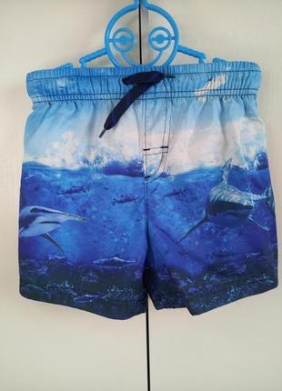Пляжные шорты из плащевки с акулой george для мальчика 4-5 лет...