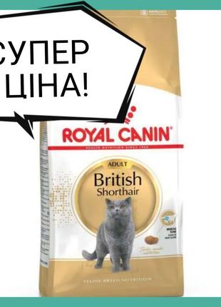 Роял Канін Royal Canin British Сфінкс Мейн-кун Канин для котів