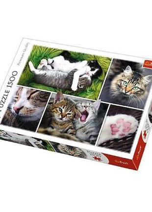 Пазлы "Коллаж: Коты", 1500 элементов