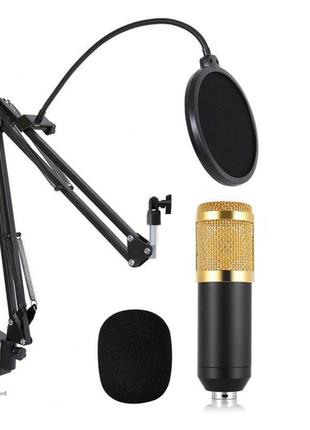 Профессиональный конденсаторный микрофон M-800 PRO-MIC студийн...