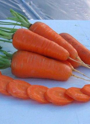 Семена моркови Шантане Ред Кор, 500 гр