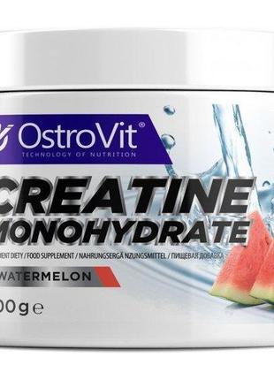 Креатин моногидрат OstroVit Creatine Monohydrate 300 g 120 ser...