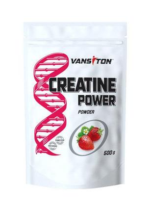 Креатин моногидрат Vansiton Creatine Monohydrate 500 g /100 se...