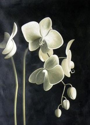 Алмазная вышивка на подрамнике цвет орхидеи 40х50 dmf-115