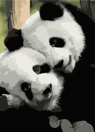 Картина для рисования по номерам на холсте панды инь янь 50*40...