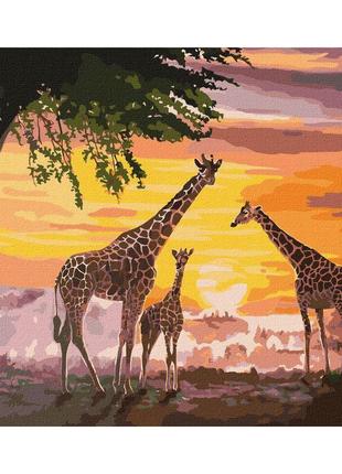 Картина по номерам "семья жирафов"  идейка kho4353 40х50 см