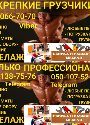Грузчики. Только профессионалы. В день и в ночь.