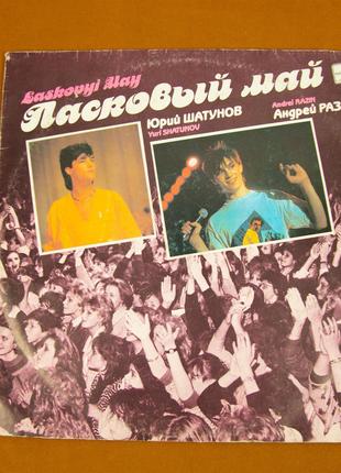 Виниловая пластинка Юрий Шатунов - Ласковый Май 1990 (№71)