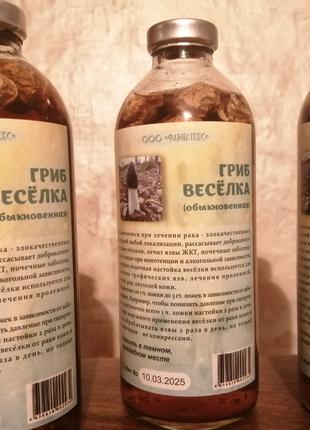 Настойка гриб веселка