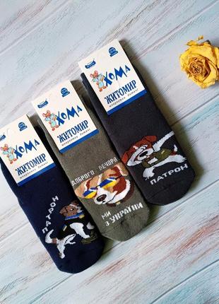 Носки махровые 3-4 года, носки детские пес патрон (набор 3 пары)