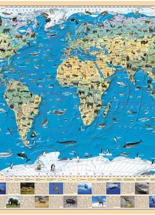 Карта тварин світу М1:54 500 000 , А-2, 65х45, картон/планки
