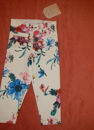 Трикотажные брюки лосины в цветочный принт salto р. 74-80см(9-...