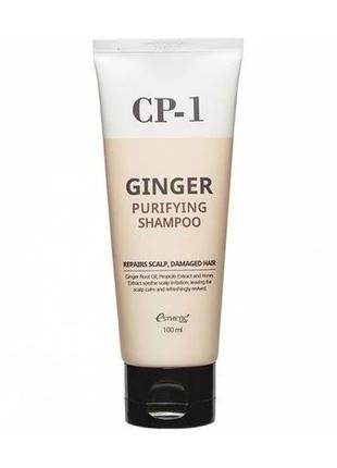 Шампунь для волос с имбирем Esthetic House CP-1 Ginger Purifyi...
