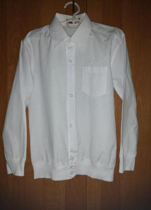 Біла сорочка для школи, шкільна форма