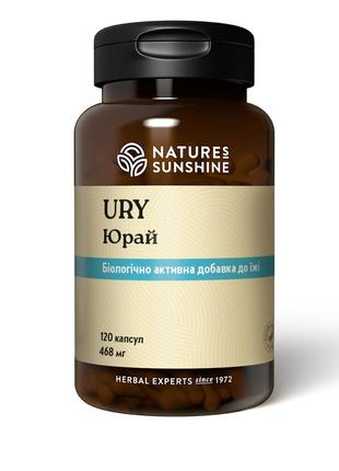 Юрай, Уролакс, Ury, Nature's Sunshine Products, 120 капсул