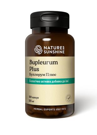 Вітаміни для нервової системи, Bupleurum Plus, Буплерум Плюс, ...