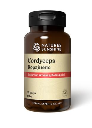 Витамины Кордицепс, Cordyceps, Nature’s Sunshine Products, США...