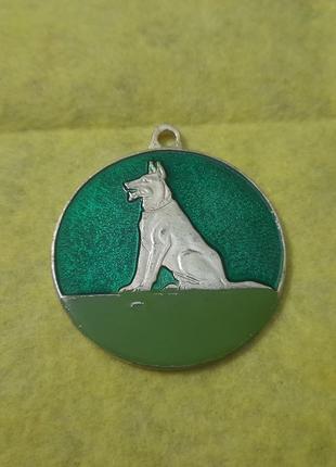 Значок СССР Собачая медаль Dog medal USSR