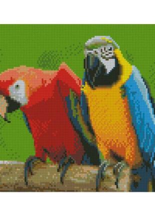 Алмазная мозаика попугаи на ветке 30x40 см hx238