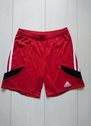 Спортивные шорты adidas