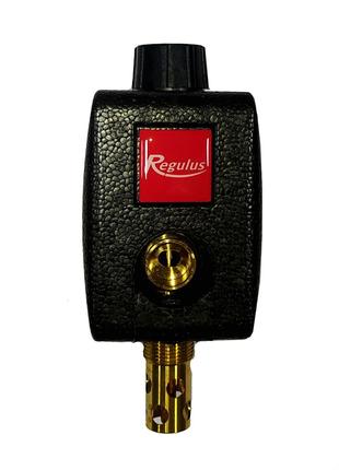 Regulus DBV1 - Тепловой предохранительный клапан, с изоляцией.