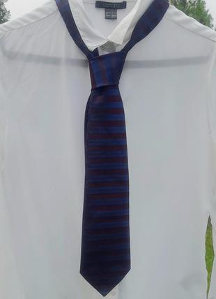 Синьо- бордова краватка в смужку