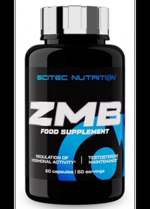 Витамины Scitec Nutrition ZMB6 60 капсул