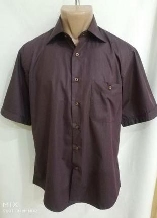 Рубашка бордо, спиндний размер воротник 38