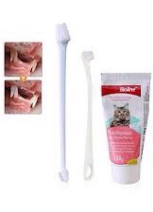 набір для чищення зубів для котів