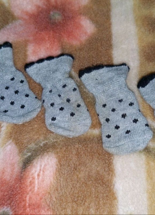 Шкарпетки для домашніх улюбленців