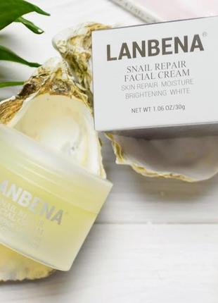 Восстанавливающий крем для лица lanbena snail repair на основе...