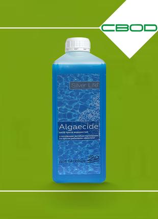 Algaecide (Альгіцид) - засіб проти водоростей і цвітіння води ...