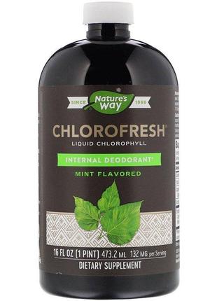 Nature's Way, Chlorofresh рідкий хлорофіл з м'ятою 473 мл