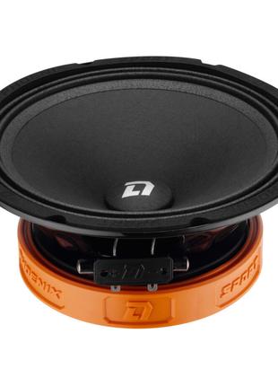 Эстрадная акустика DL Audio Phoenix Sport 200